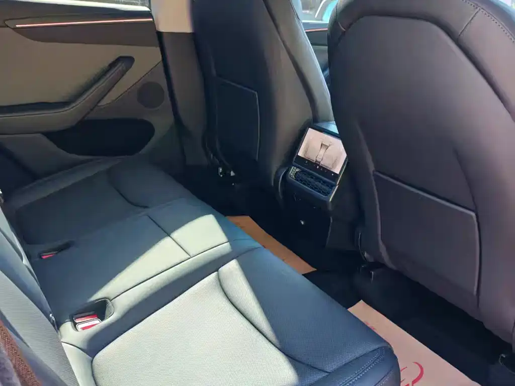 Tesla Model Y — миниатюра 12