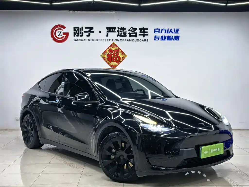Tesla Model Y — миниатюра 3