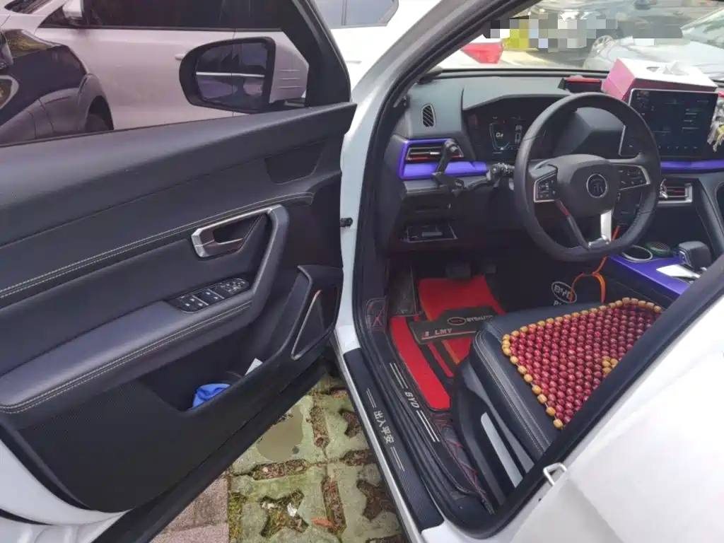 BYD Pro — миниатюра 12