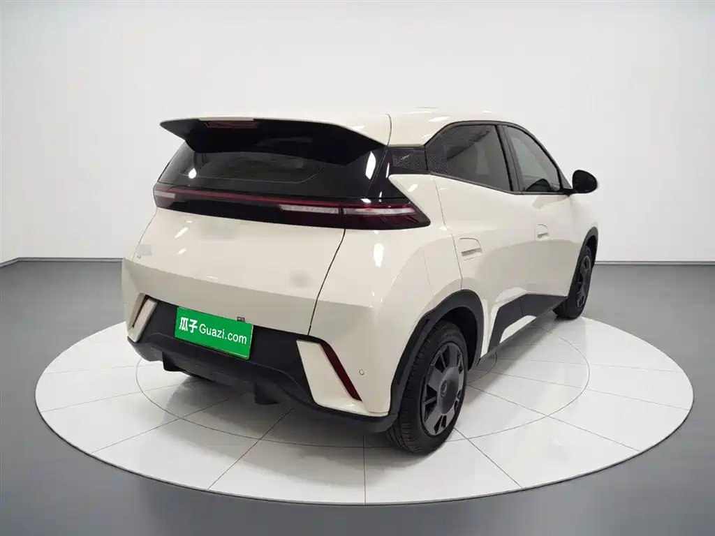 BYD Seagull 2025 305km