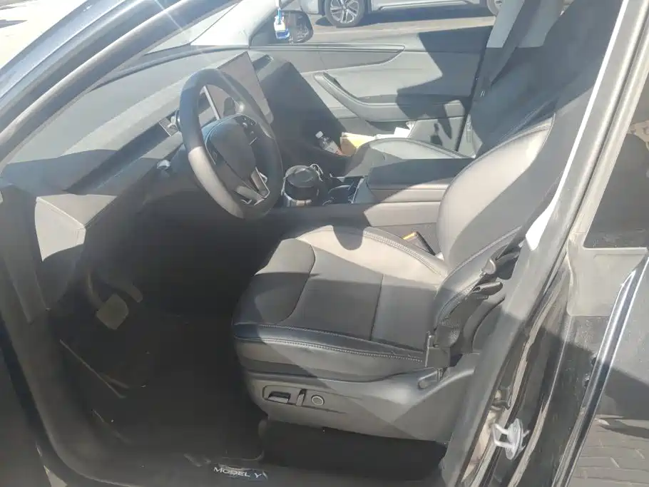 Tesla Model Y — миниатюра 9