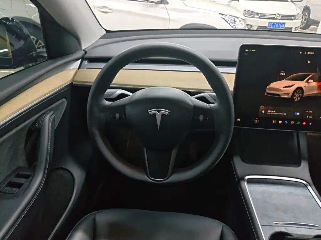 Tesla Model Y — миниатюра 11