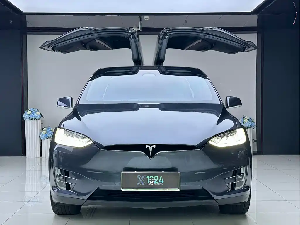 Tesla Model X — миниатюра 2