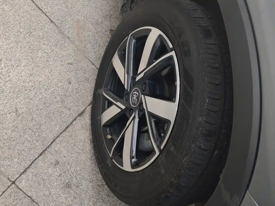 BYD Pro New Energy — миниатюра 6