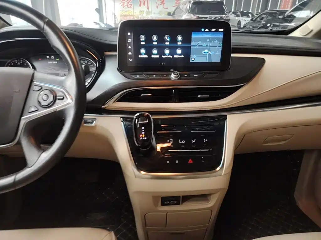 Buick GL8 — миниатюра 13