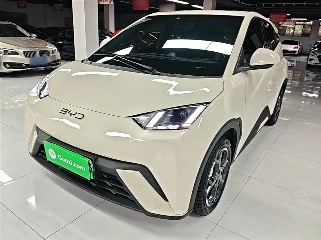 Byd Seagull 2025