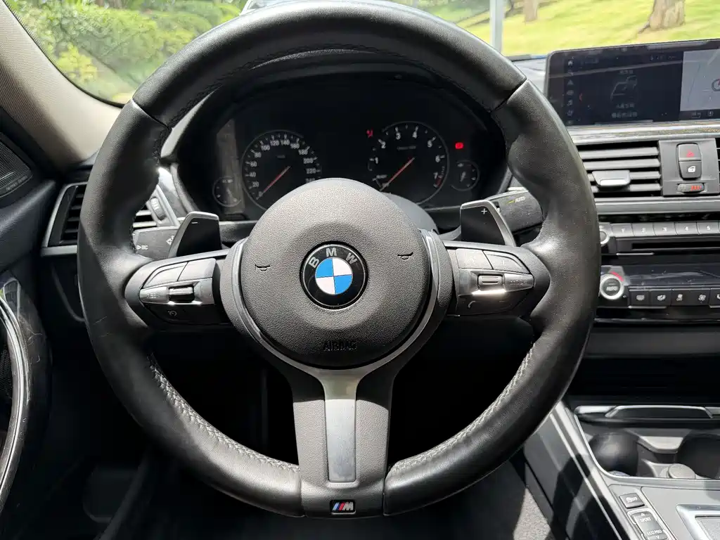 BMW 3 Series 3 2019 320Li M Sport