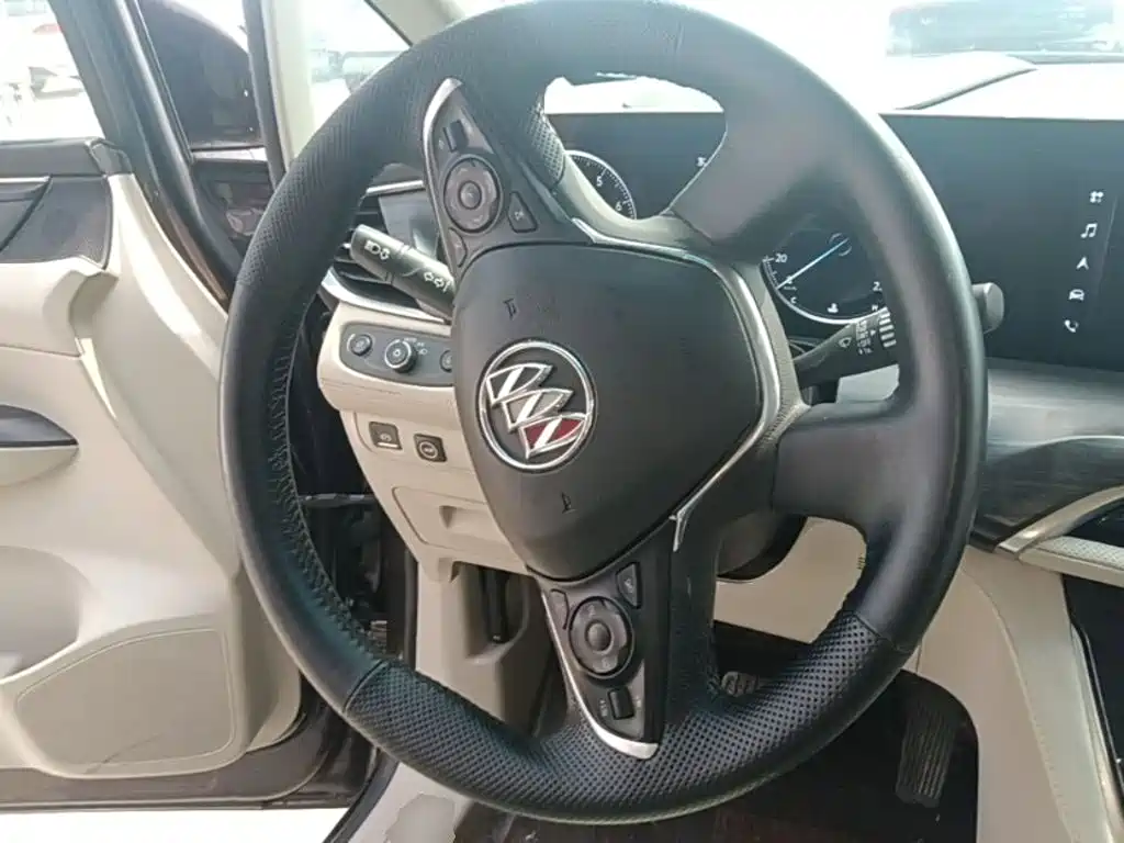 Buick GL8 — миниатюра 11