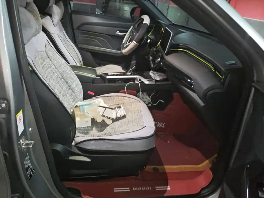 Haval Chitu — миниатюра 8
