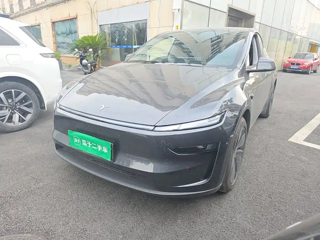 Tesla Model Y — миниатюра 2
