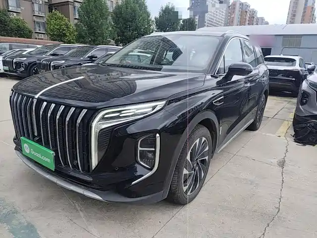 2024 Hongqi HS7