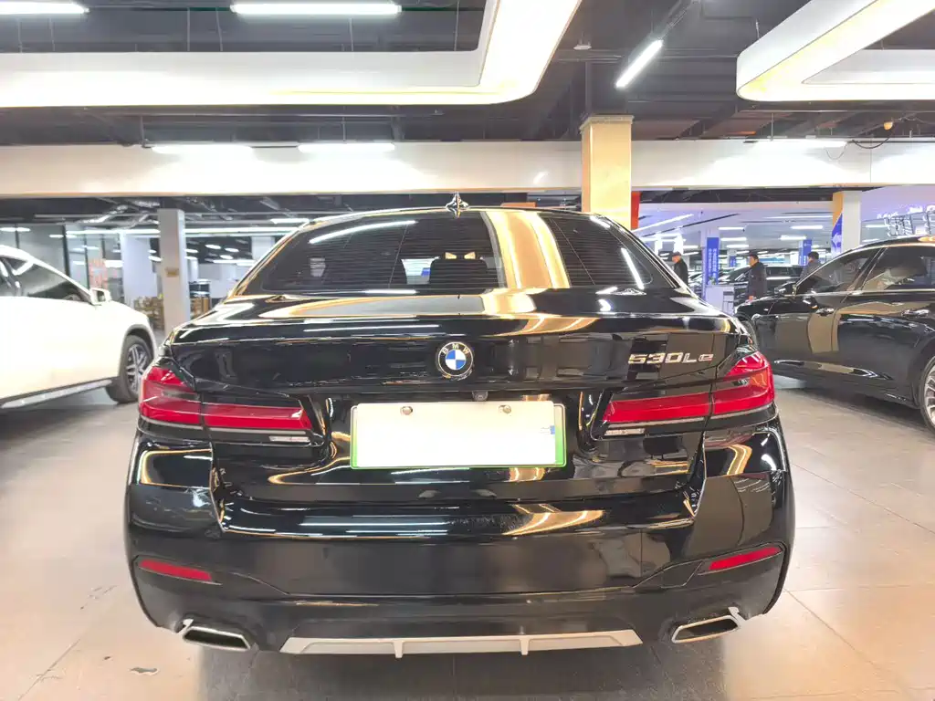 BMW 5 SERIES NEW ENERGY