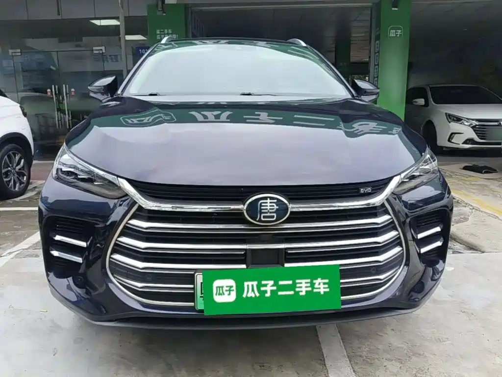 BYD Tang New Energy — миниатюра 3
