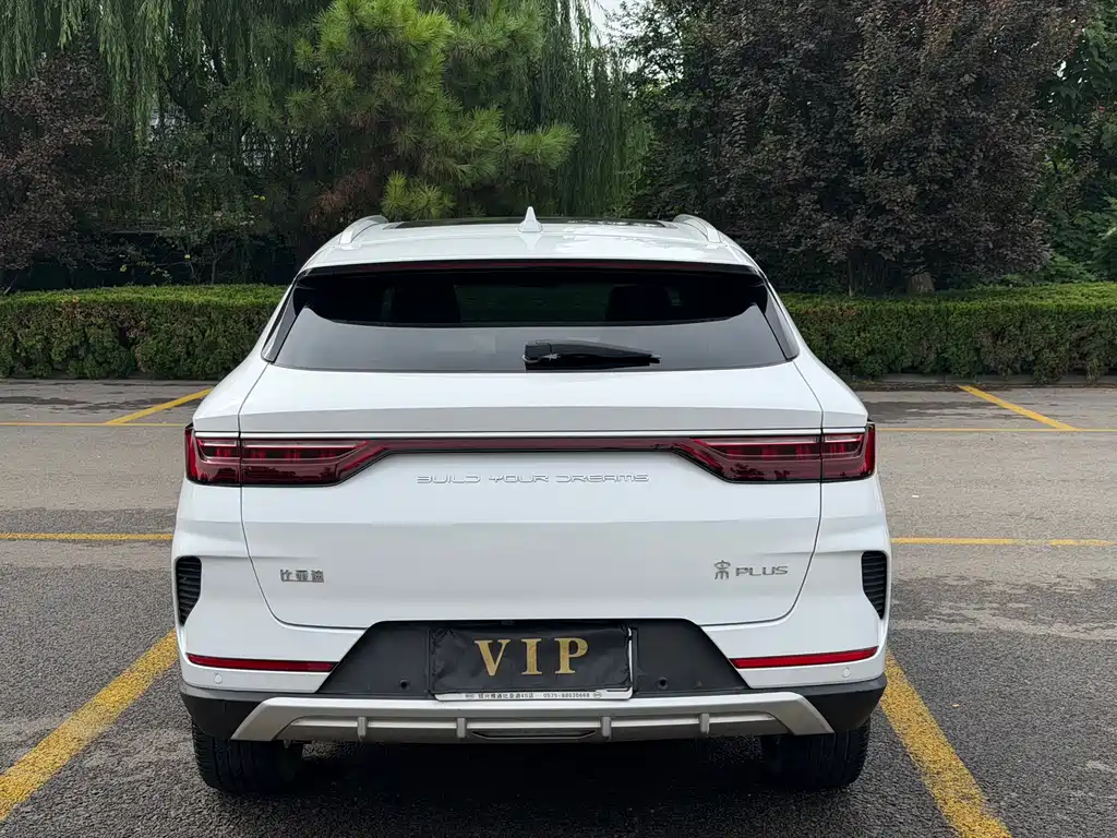 BYD PLUS — миниатюра 4