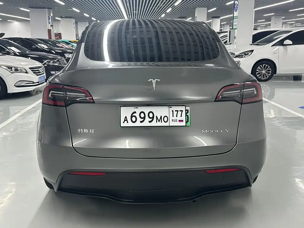 Tesla Model Y — миниатюра 15
