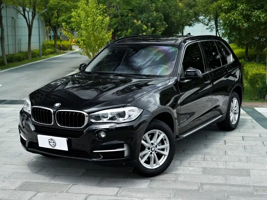 BMW X5 (Import) — миниатюра 19