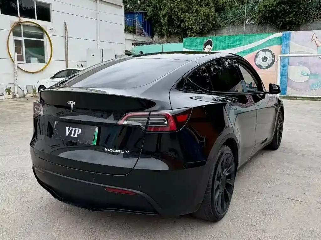 Tesla Model Y — миниатюра 4