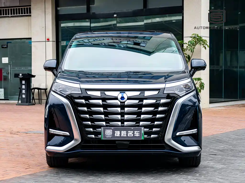 Denza Denza D9 — миниатюра 2
