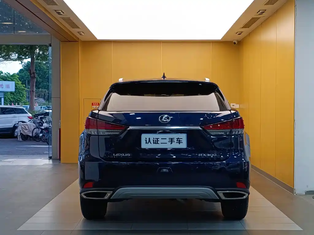 Lexus RX — миниатюра 29