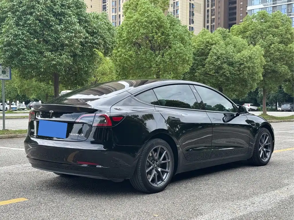 Tesla Model 3 — миниатюра 5