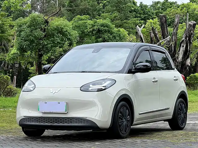 2023 Wuling Motors Binguo