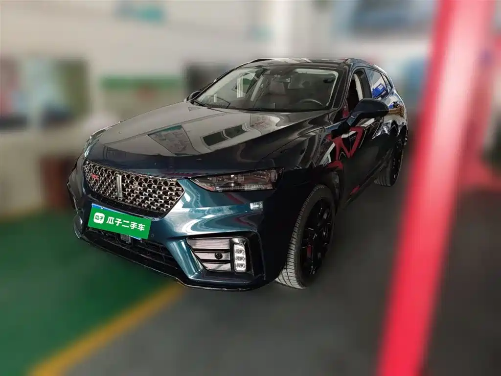 Купить Wey Wey VV7