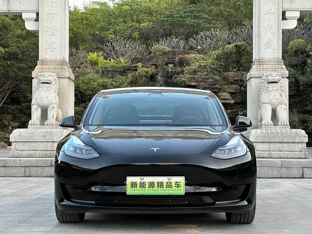 Tesla Model 3 — миниатюра 2