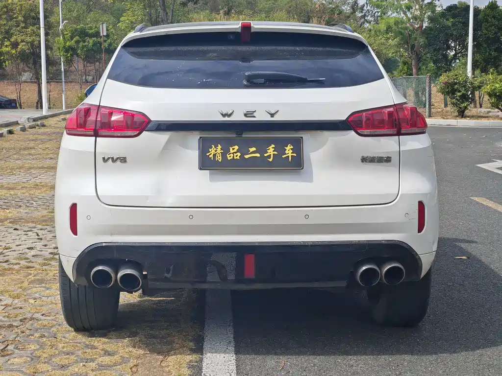 WEI PAI WEI BRAND VV5