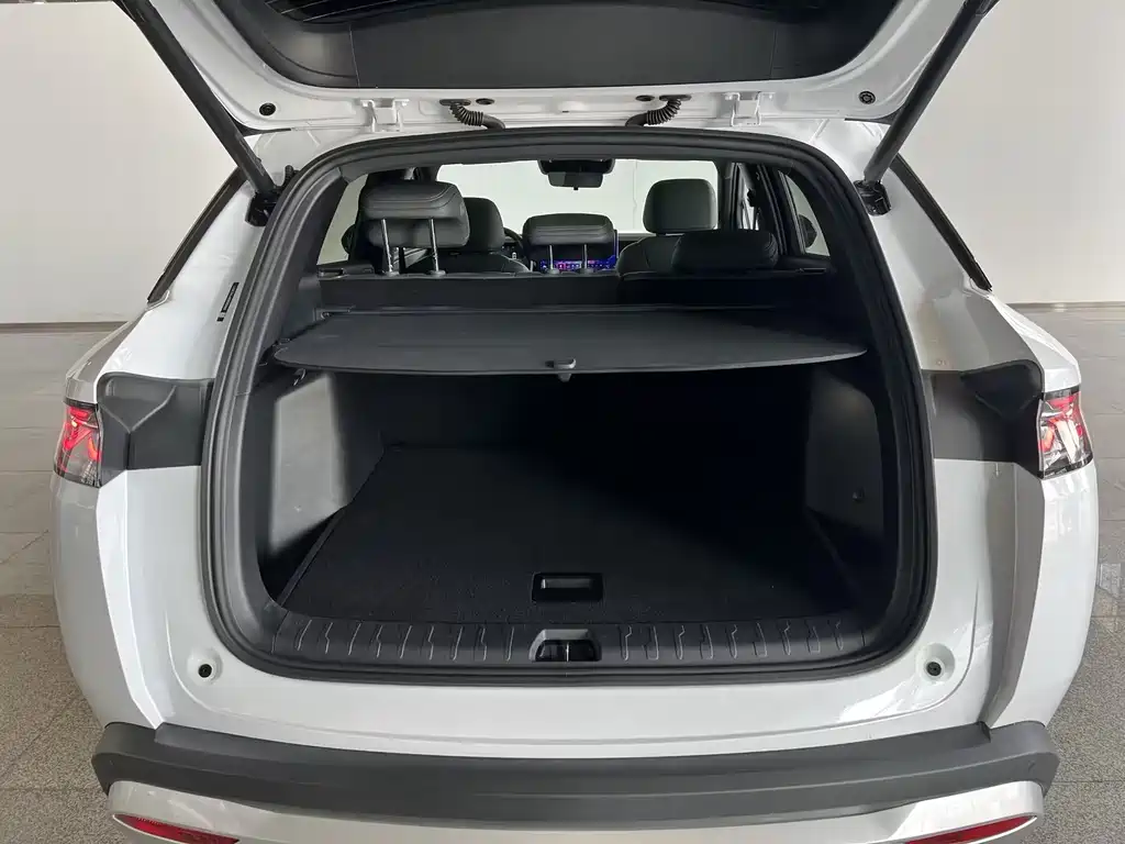 BYD L DM-i — миниатюра 19
