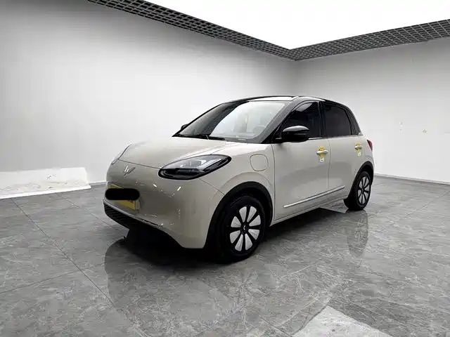 WULING WULING BINGGUO 2025