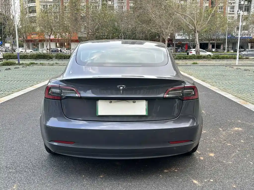 Tesla Model 3 — миниатюра 7