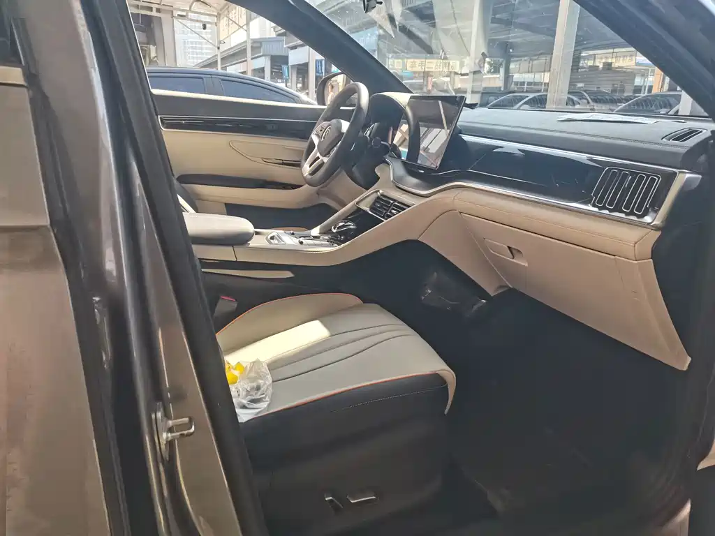 BYD PLUS New Energy — миниатюра 4