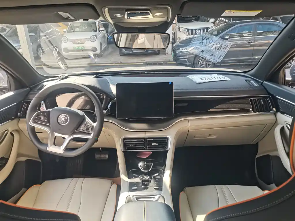 BYD PLUS New Energy — миниатюра 6