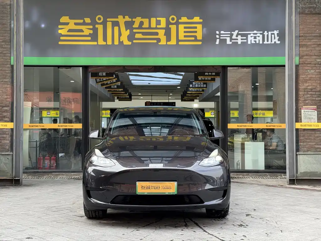 Tesla Model Y — миниатюра 4