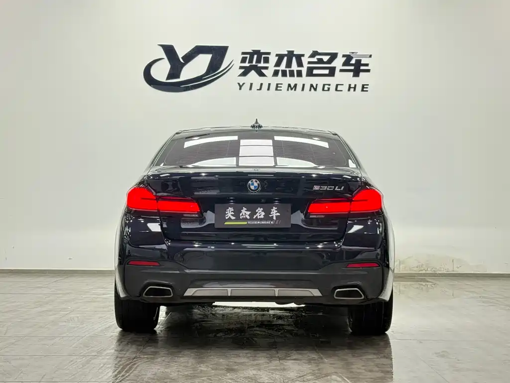 BMW 5 Series 5 2022 530Li Premium M Sport