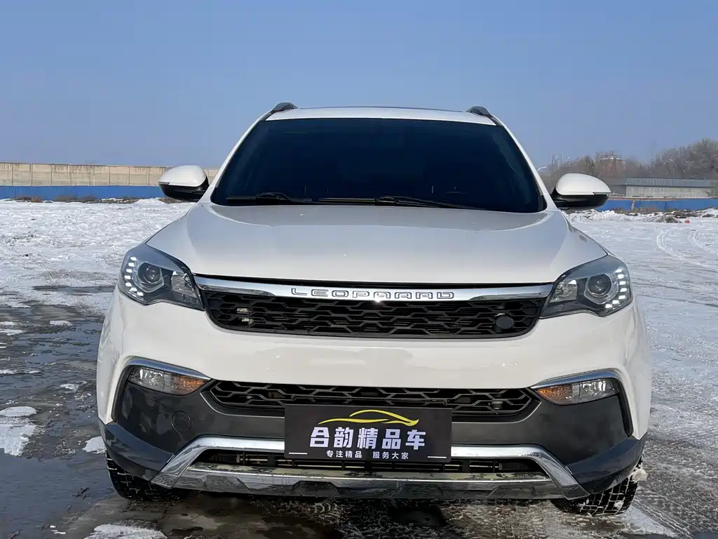 CHEETAH CARS CHEETAH CS10