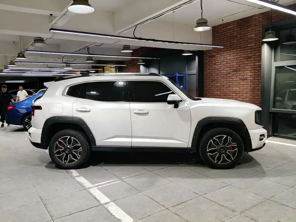 Haval Плюс новая энергия. — миниатюра 5