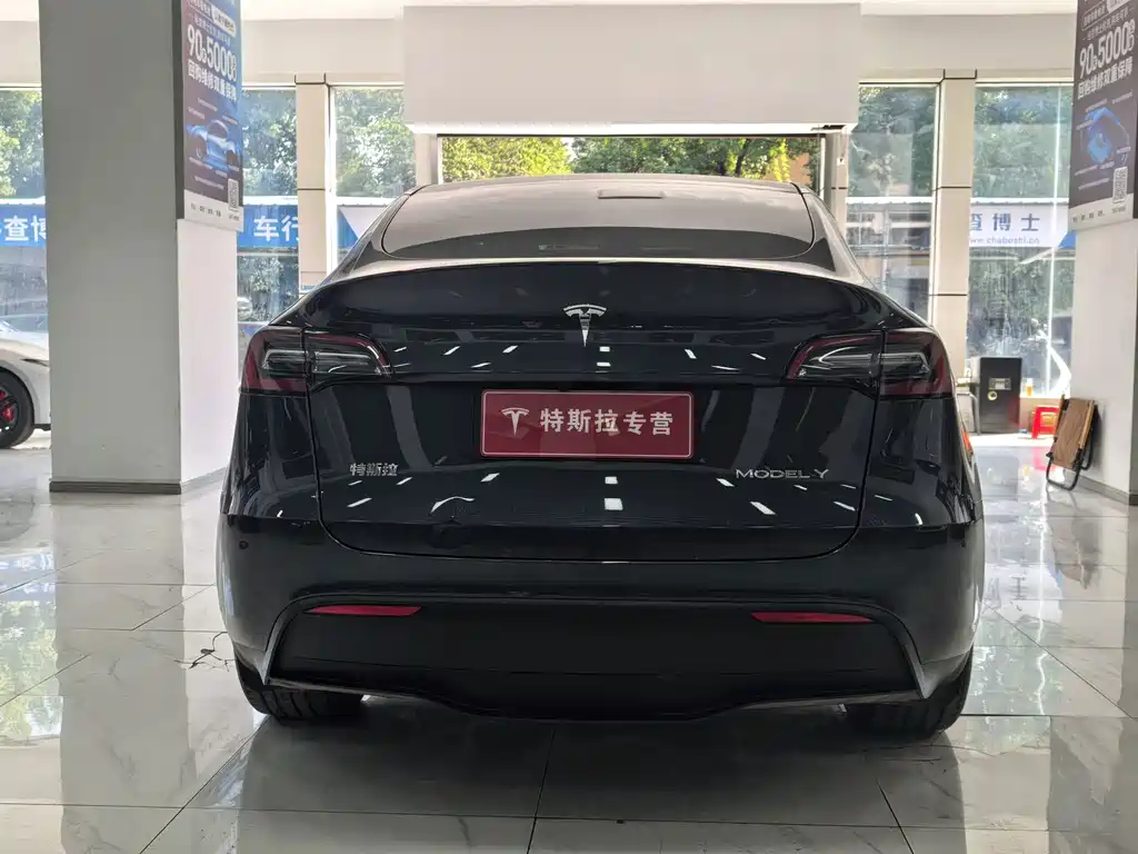 Tesla Model Y — миниатюра 14