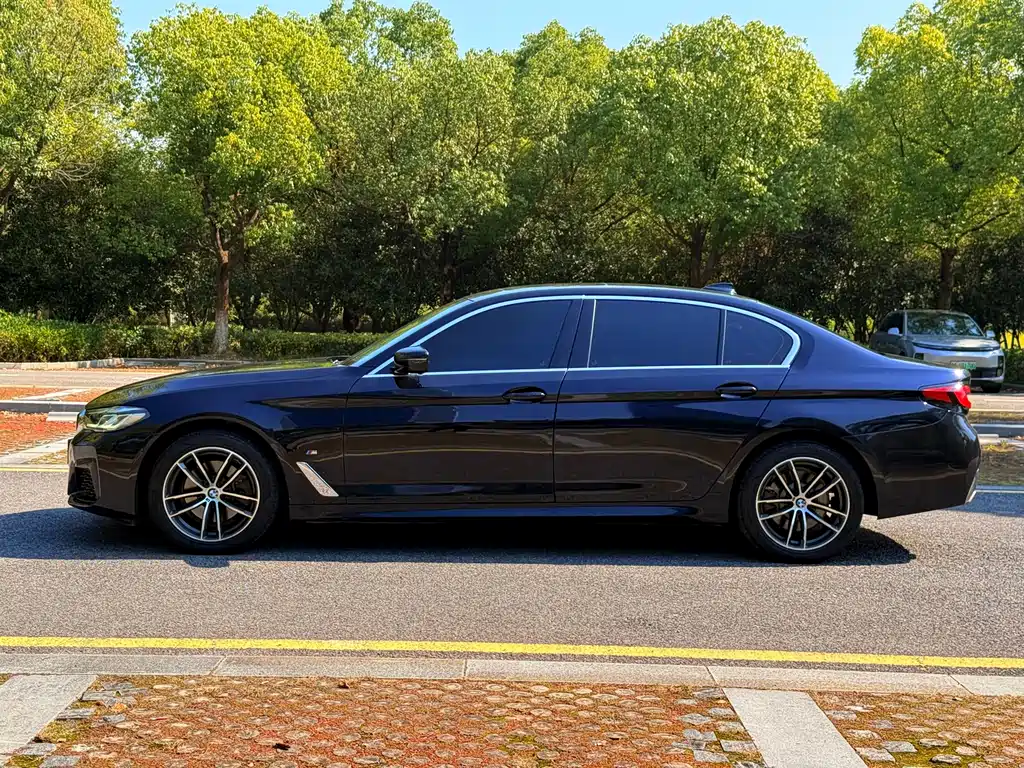 BMW 5 Series — миниатюра 3