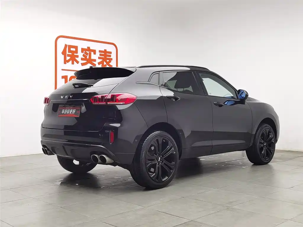 WEI PAI WEI BRAND VV5