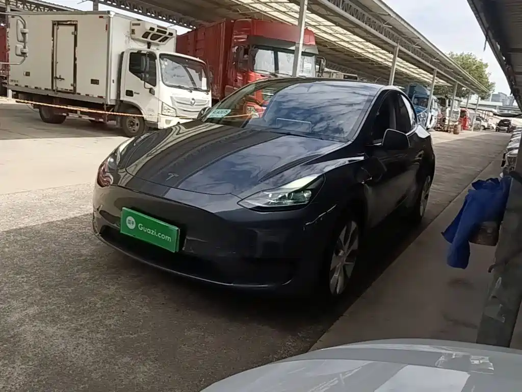 Tesla Model Y — миниатюра 2