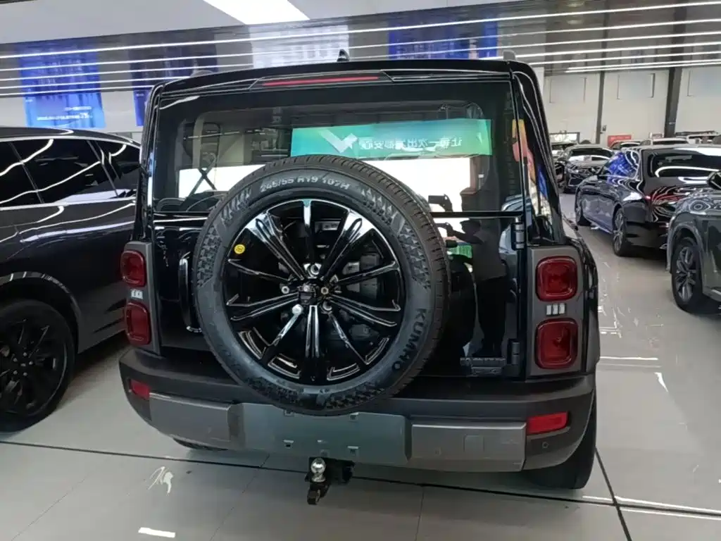 Haval Menglong New Energy — миниатюра 6