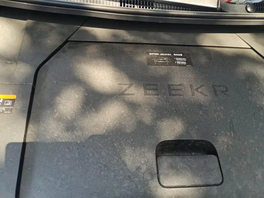 Zeekr 009