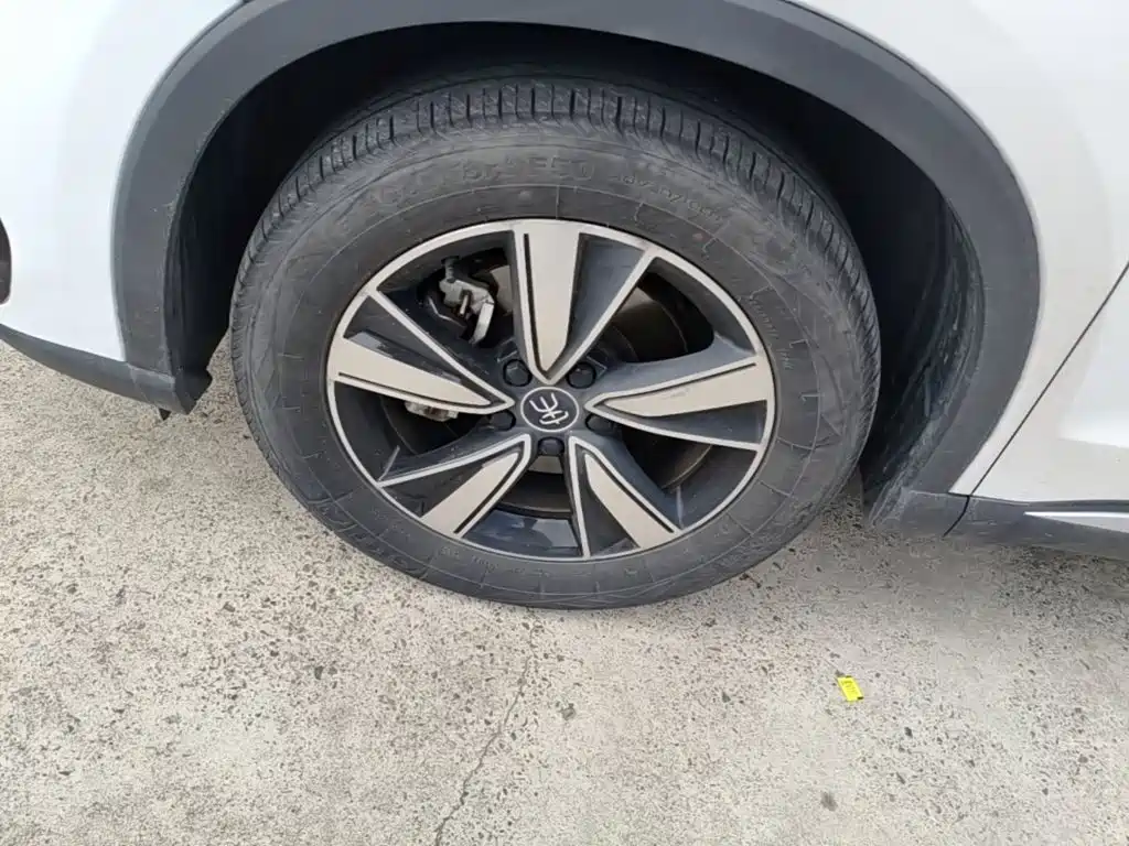 BYD Pro New Energy — миниатюра 23