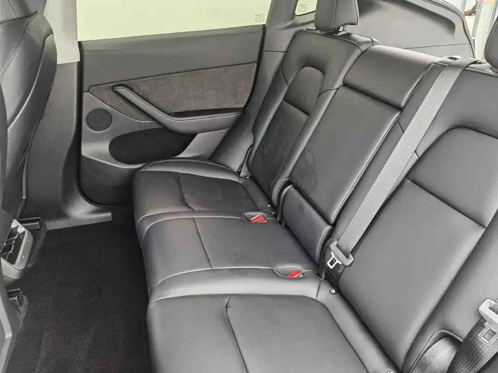 Tesla Model Y — миниатюра 6