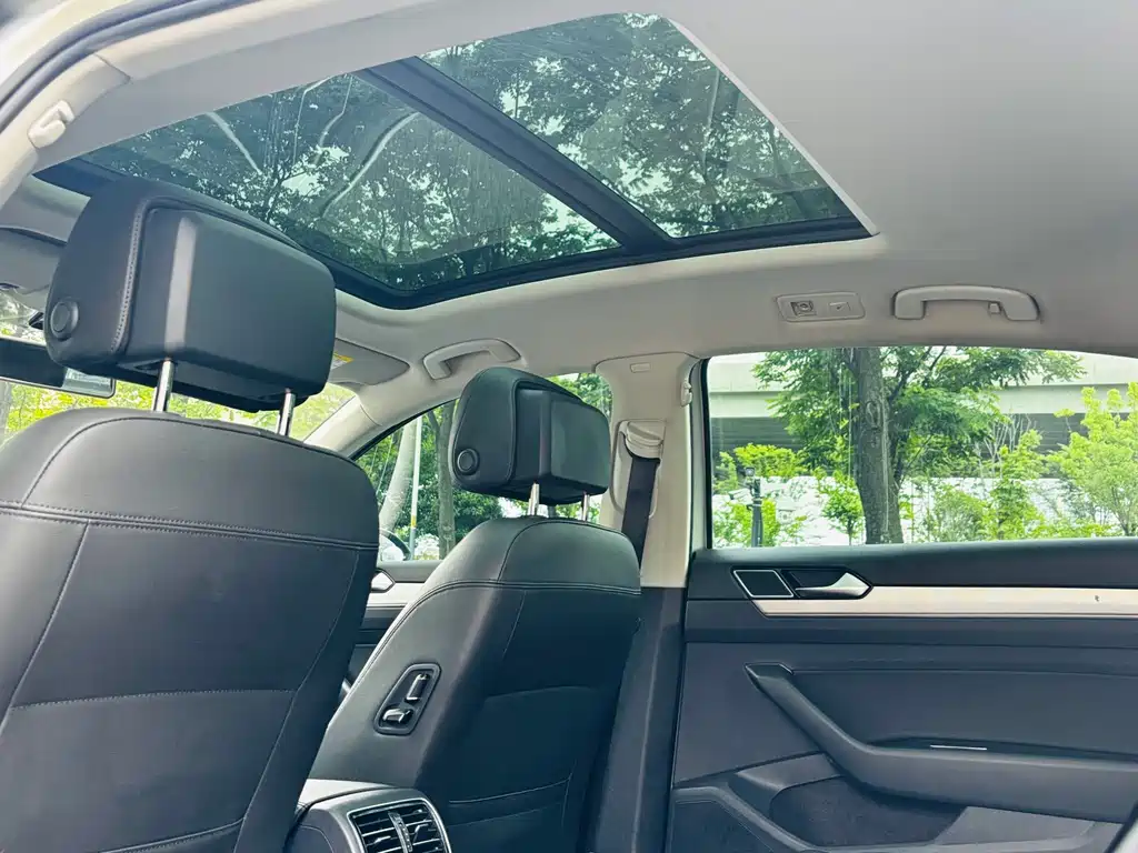 Volkswagen Magotan 2019 330TSI DSG Lead VI