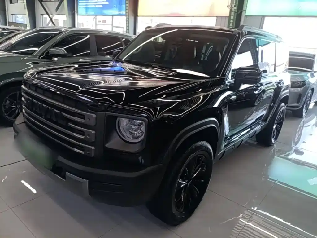 Haval Menglong New Energy — миниатюра 2