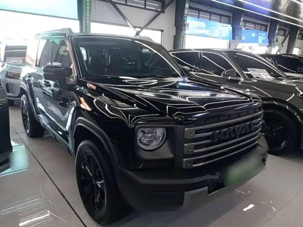 Haval Menglong New Energy — миниатюра 4