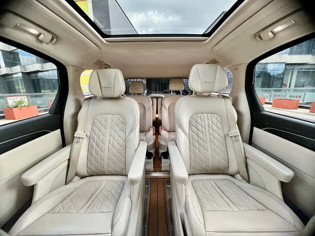 Buick GL8 — миниатюра 16