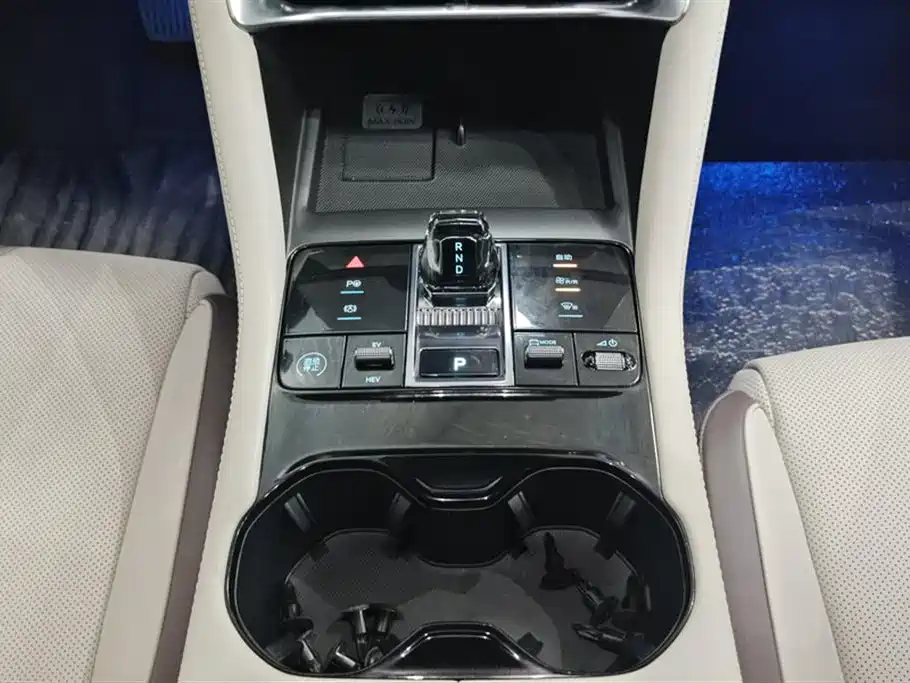 BYD SONGJIANG NEW ENERGY